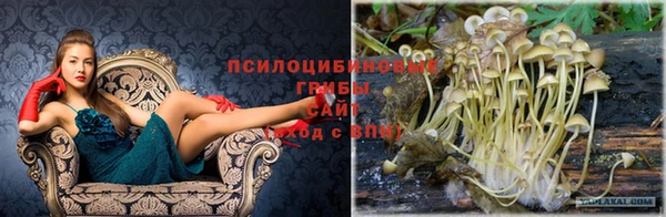 герыч Абаза